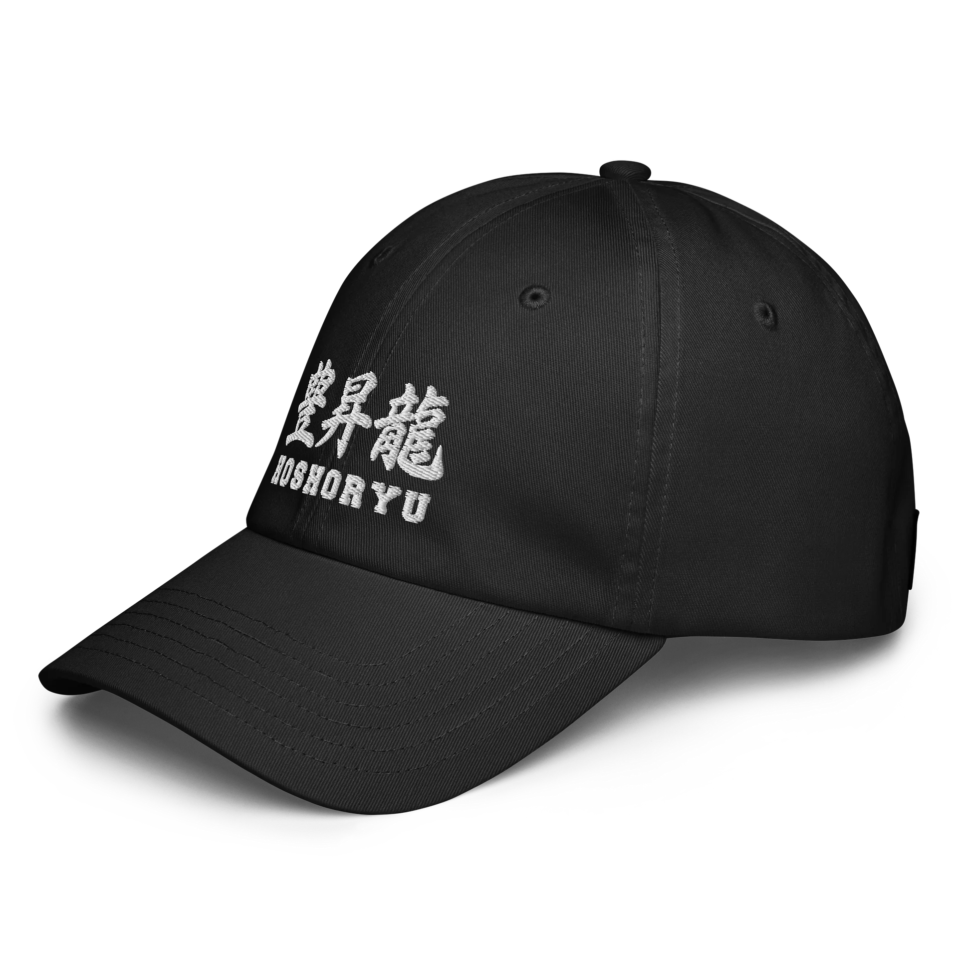 Hoshoryu [Kanji] Dad Hat product image (3)