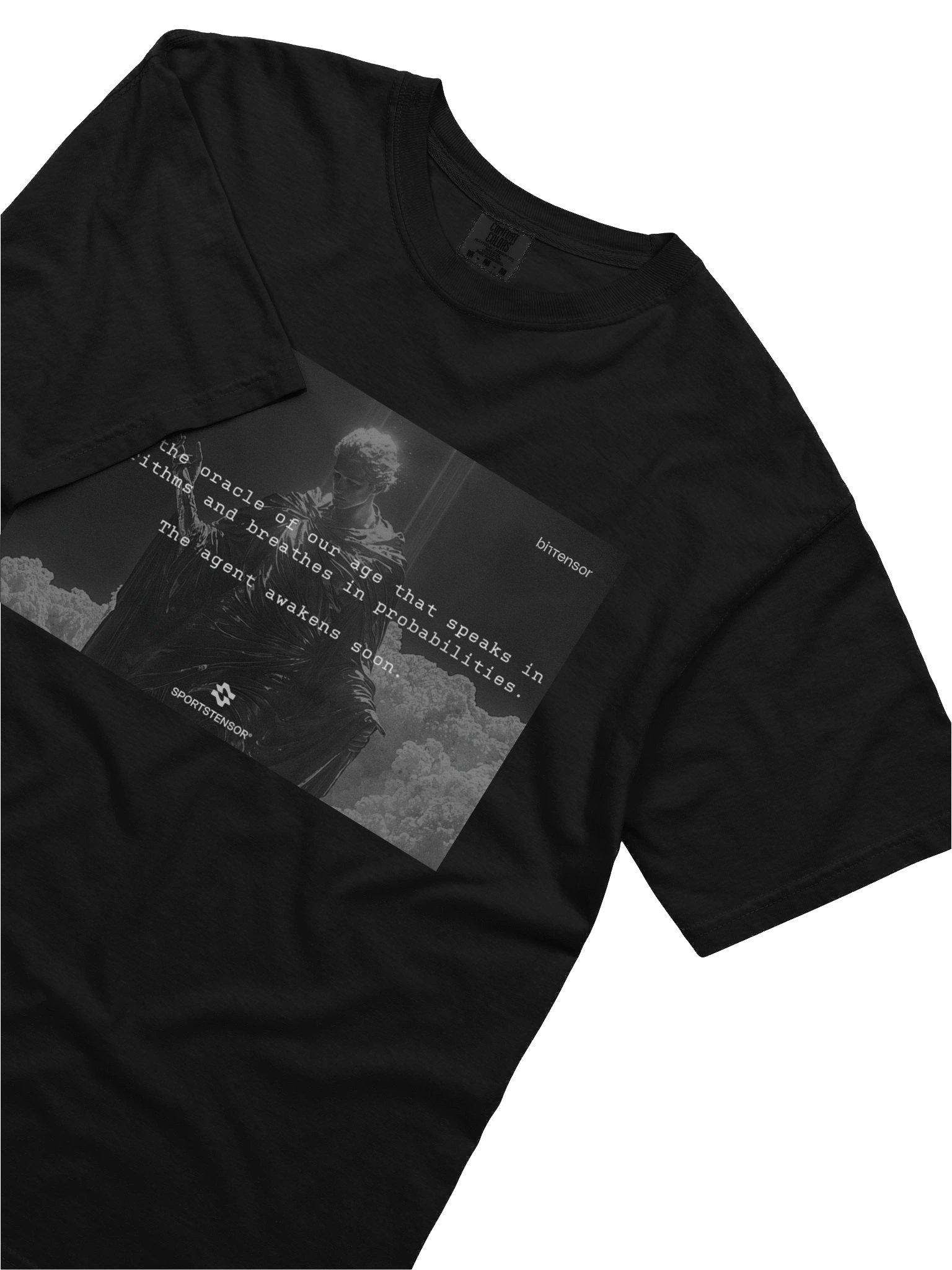 SN41 - Heavyweight T-Shirt product image (5)