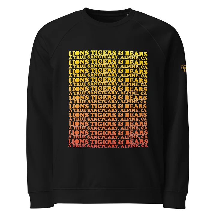 Gradient Raglan Crewneck product image (1)