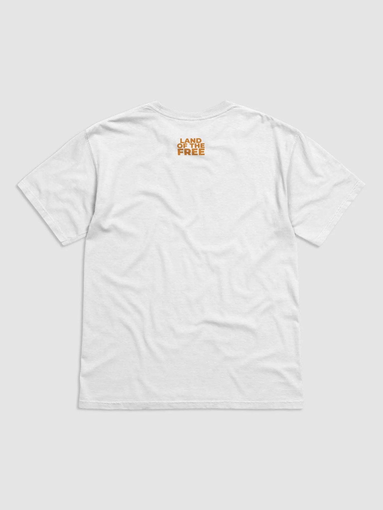 Orange Stripe American Flag Tee product image (2)