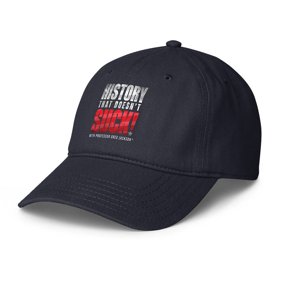 HTDS baseball cap product image (3)