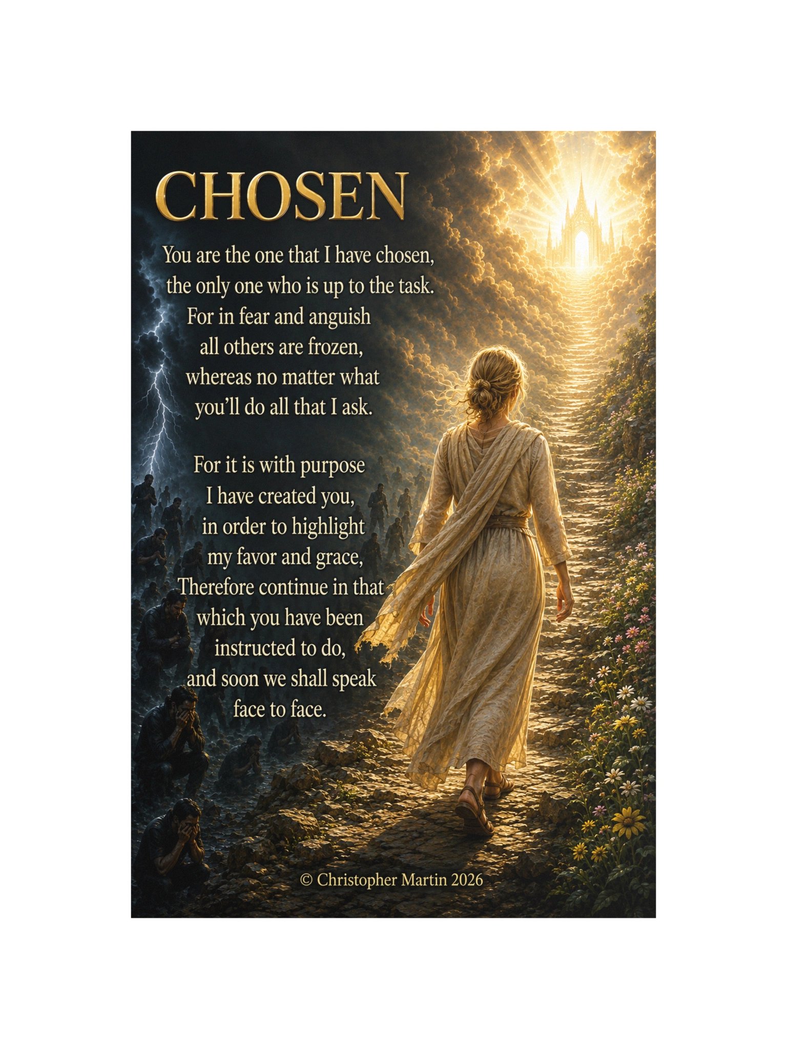 Chosen product image (4)