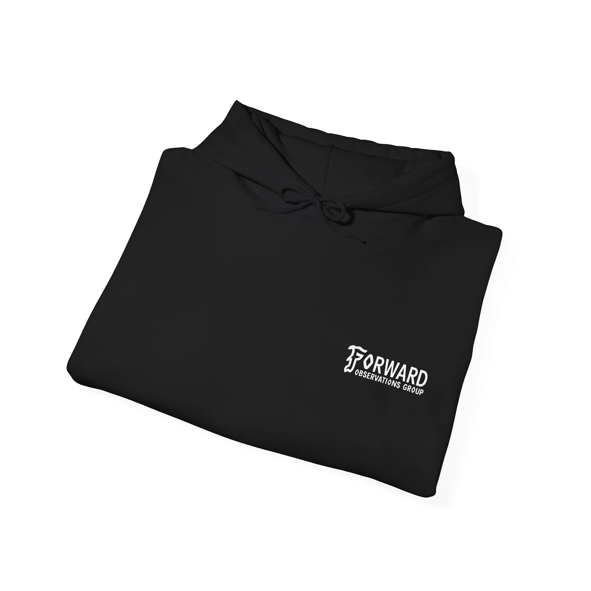 Forward Observations Group Flat Earth Hoodie product image (4)
