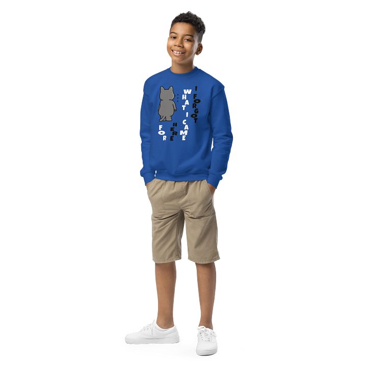 Short-term Memory Loss 2 - Unisex Youth Sweatshirt product image (1)