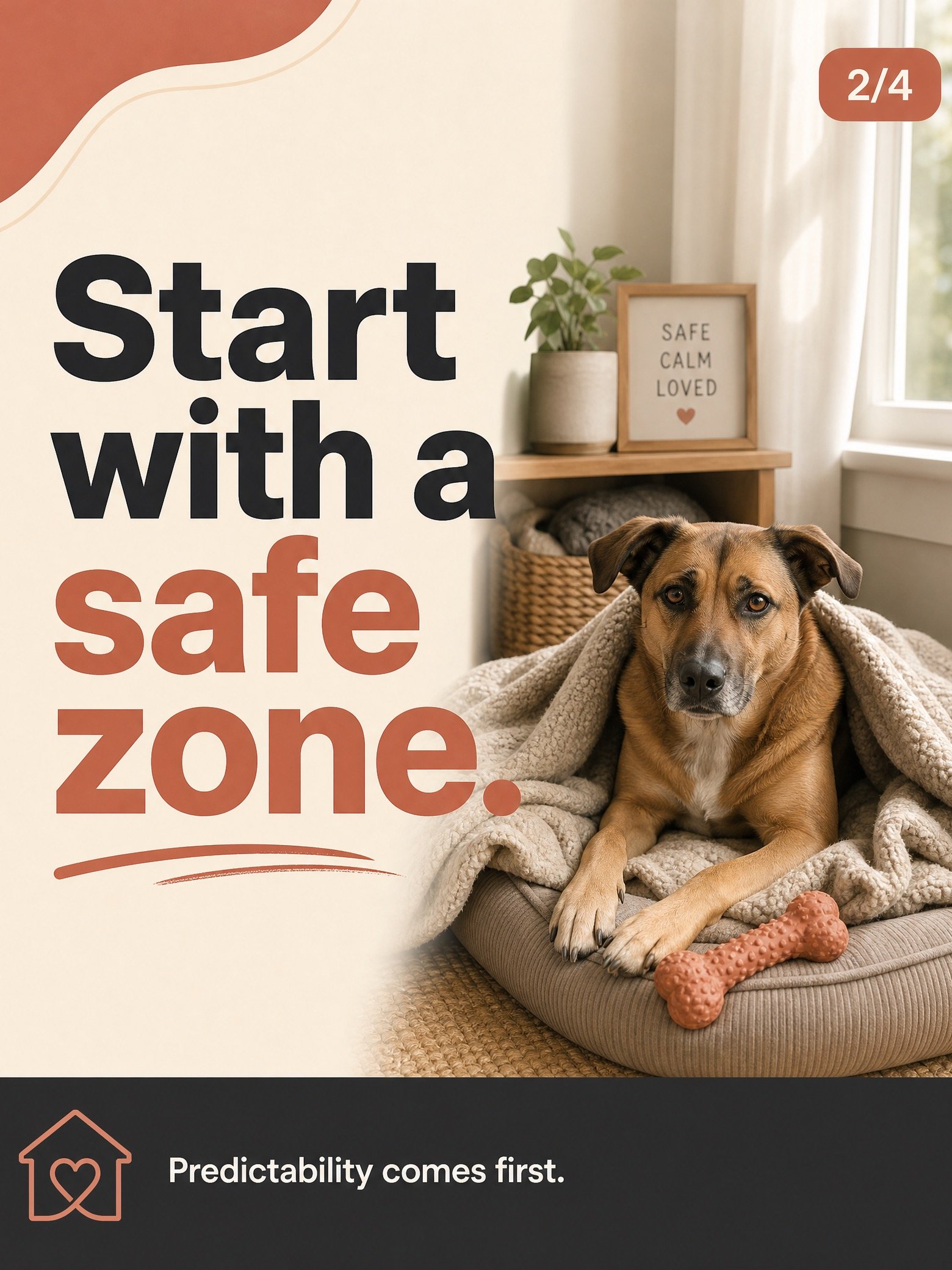 Alone & Unafraid: The 7-Day Blueprint to Ending Separation Anxiety in Your Newly Adopted Dog product image (7)