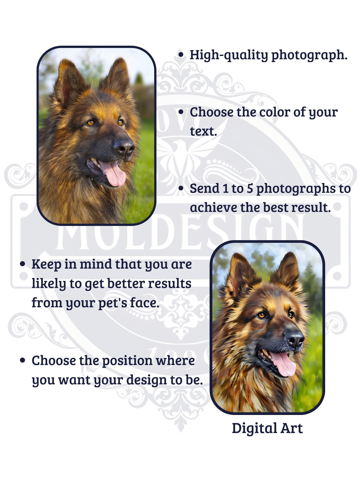 FRAMED PET ART / HIGH-QUALITY PRINT product image (4)