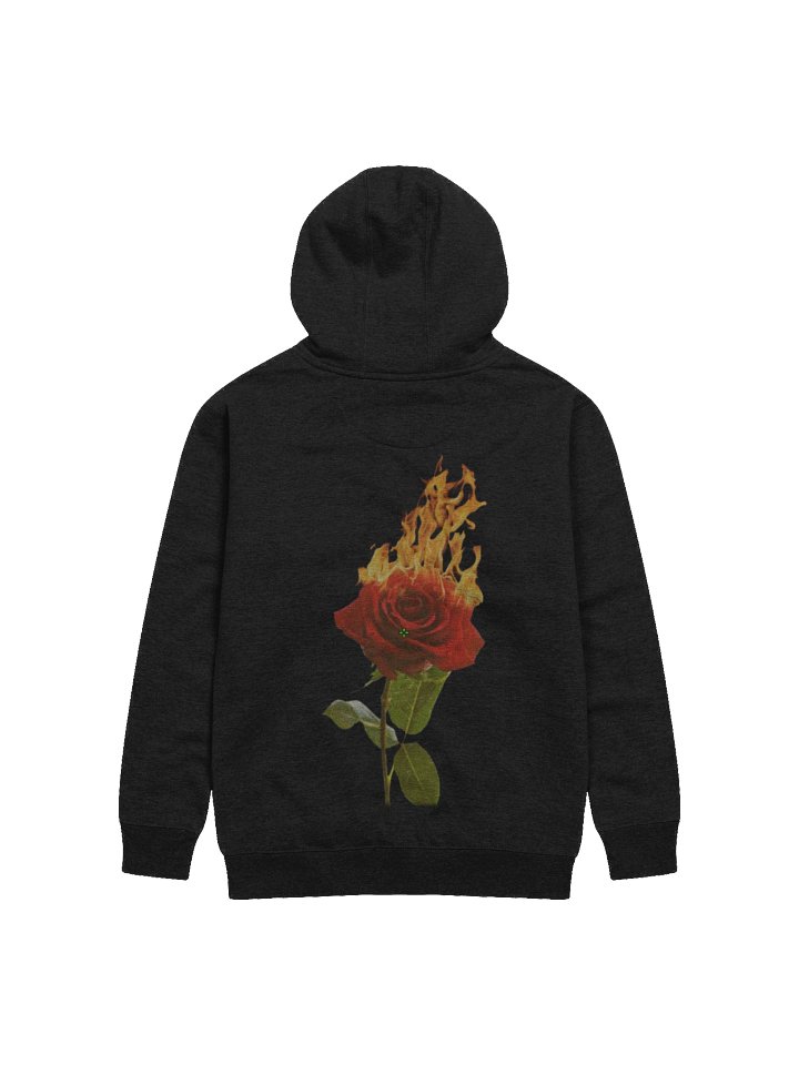 Beautiful Goodbyes - Hoodie product image (2)