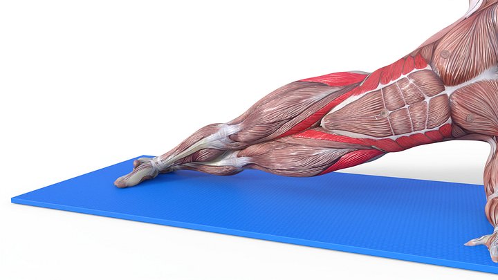 Side Plank Raise product image (1)