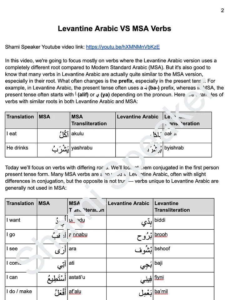 Levantine Arabic VS MSA Verbs product image (2)