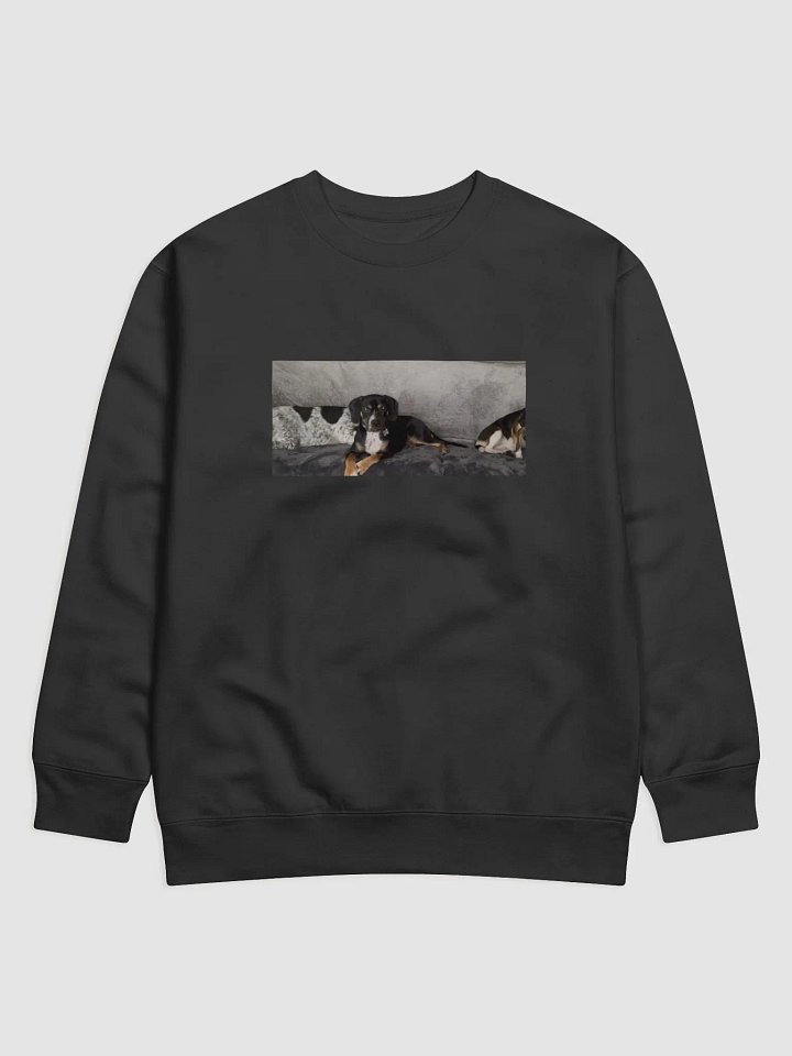 Sir Loon Sweat Shirt product image (1)