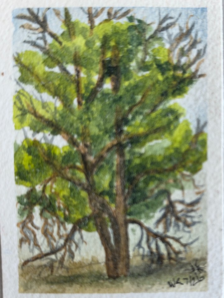 Hypnotic Tree - Mile Marker McKays Bend product image (2)
