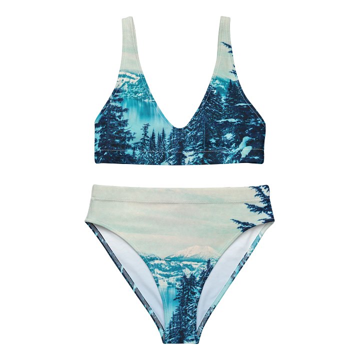 Lomography Purple Recycled High Waisted Bikini product image (1)