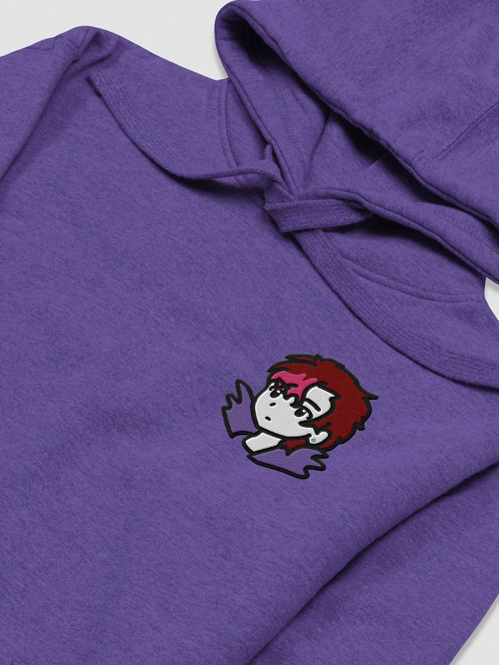 BiS Kai Embroidered Hoodie (zzZ) +12 Alt. Colors product image (1)