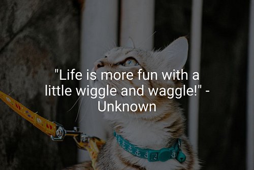 Embrace the joy that pets bring into our lives, and add some flair to your fun! Whether you're sprucing up your home with del...