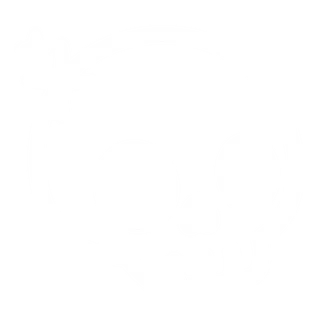skylarkwhy