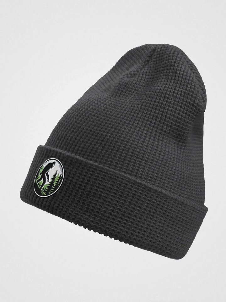 Ball Gazer Beanie product image (2)