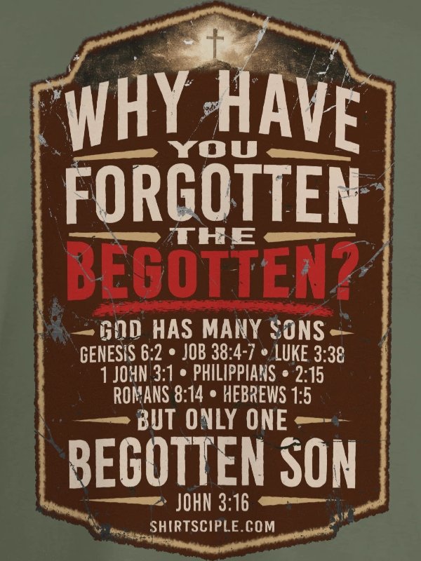 Why Have You Forgotten The Begotten Hoodie product image (2)