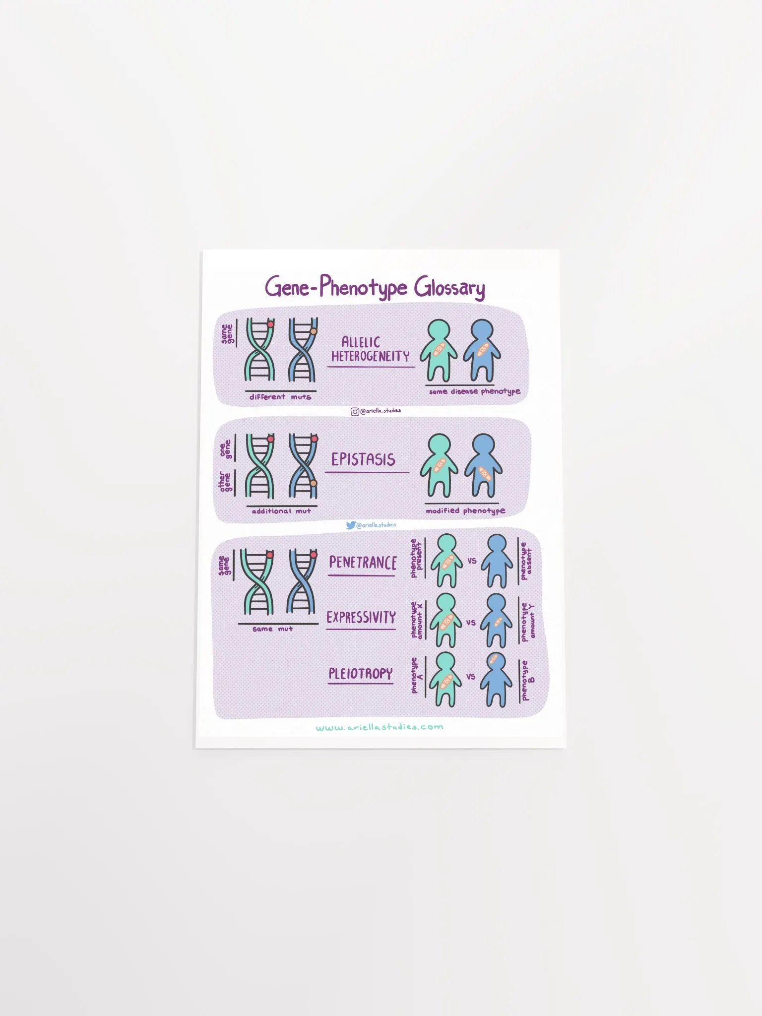 Gene-Phenotype Poster product image (4)