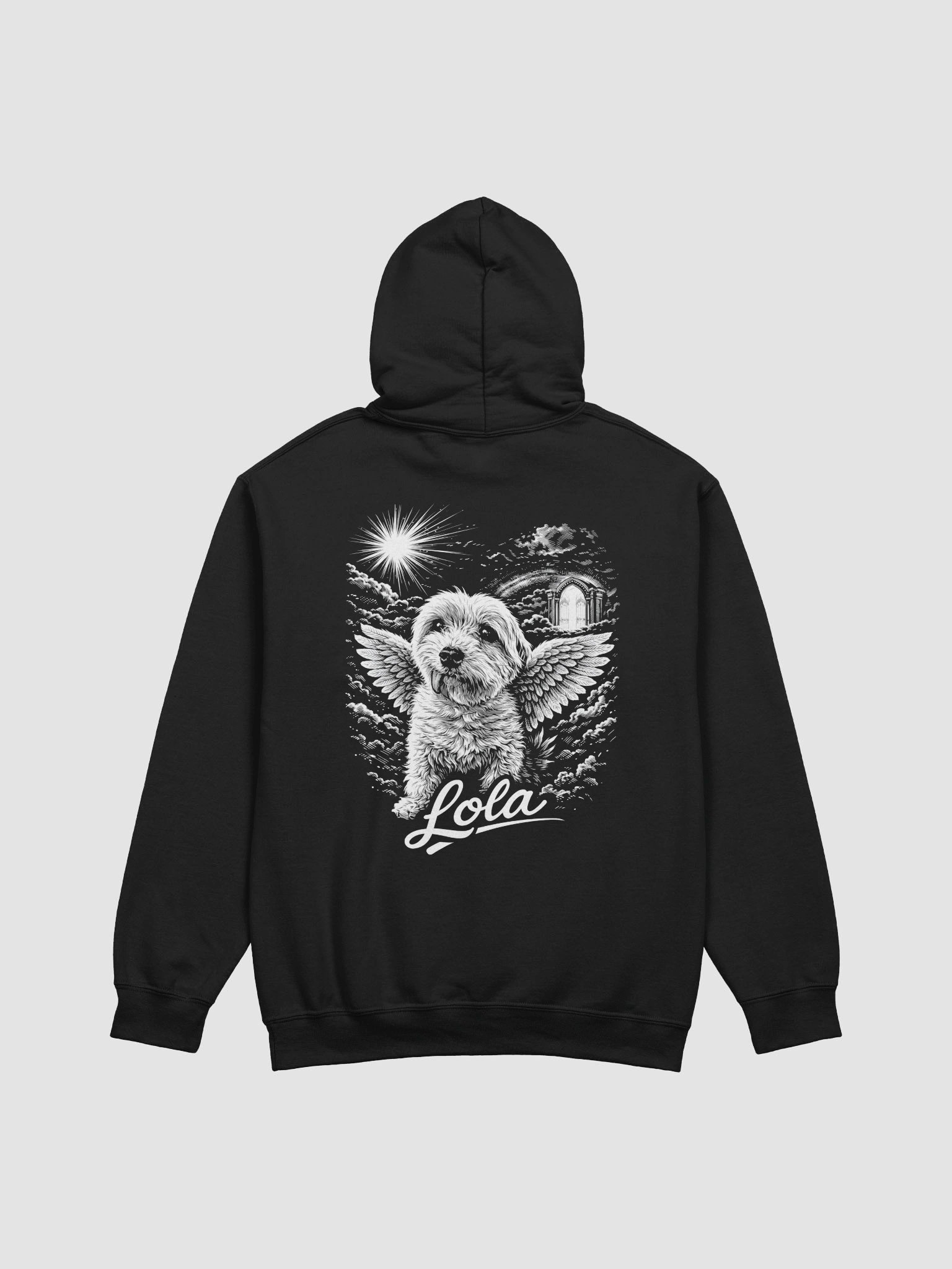 Lola's Angelic Flight Hoodie product image (1)