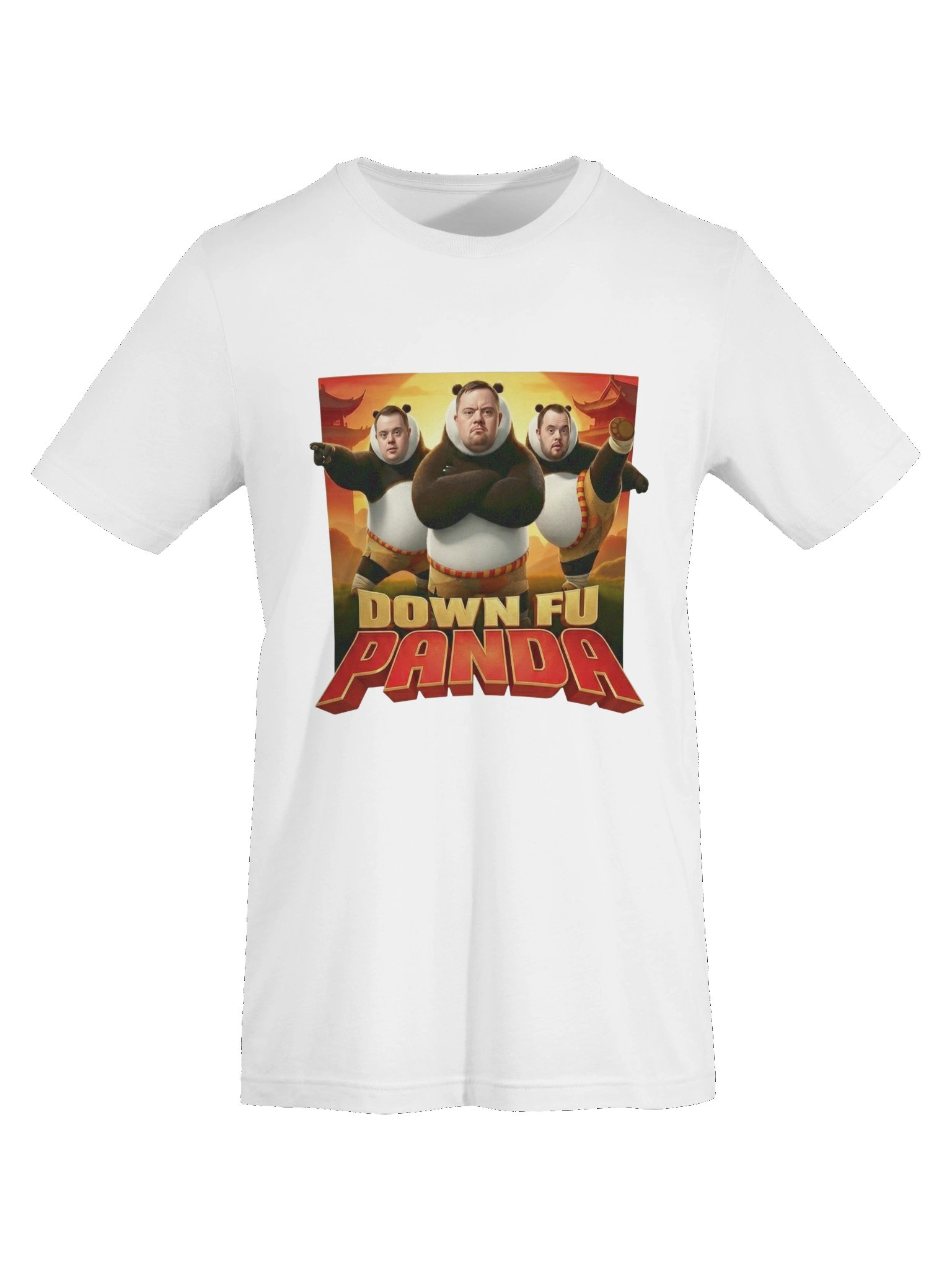 Down Fu Panda tshirt product image (65)