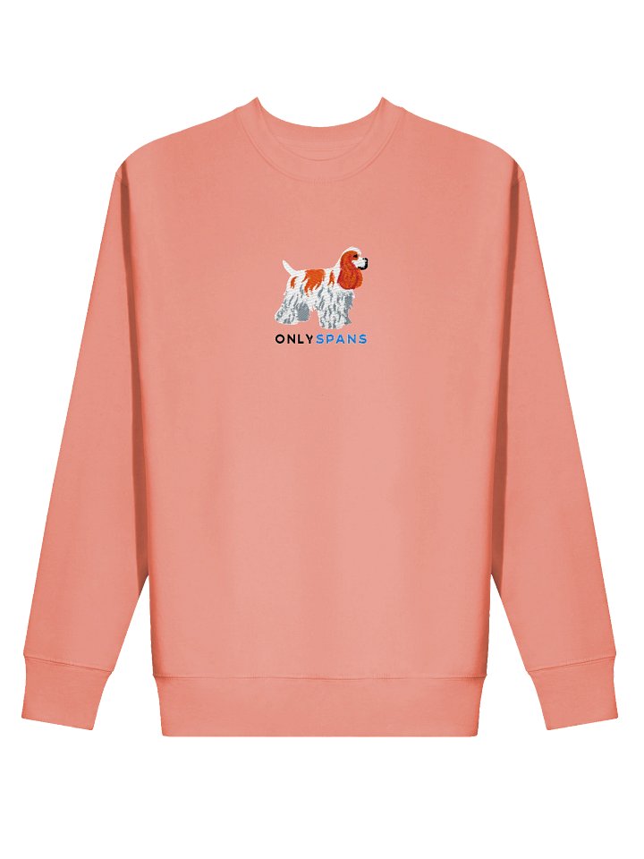 Only Spans Sweatshirt (Embroidered) of an American Cocker Spaniel(Parti Red and White) product image (30)