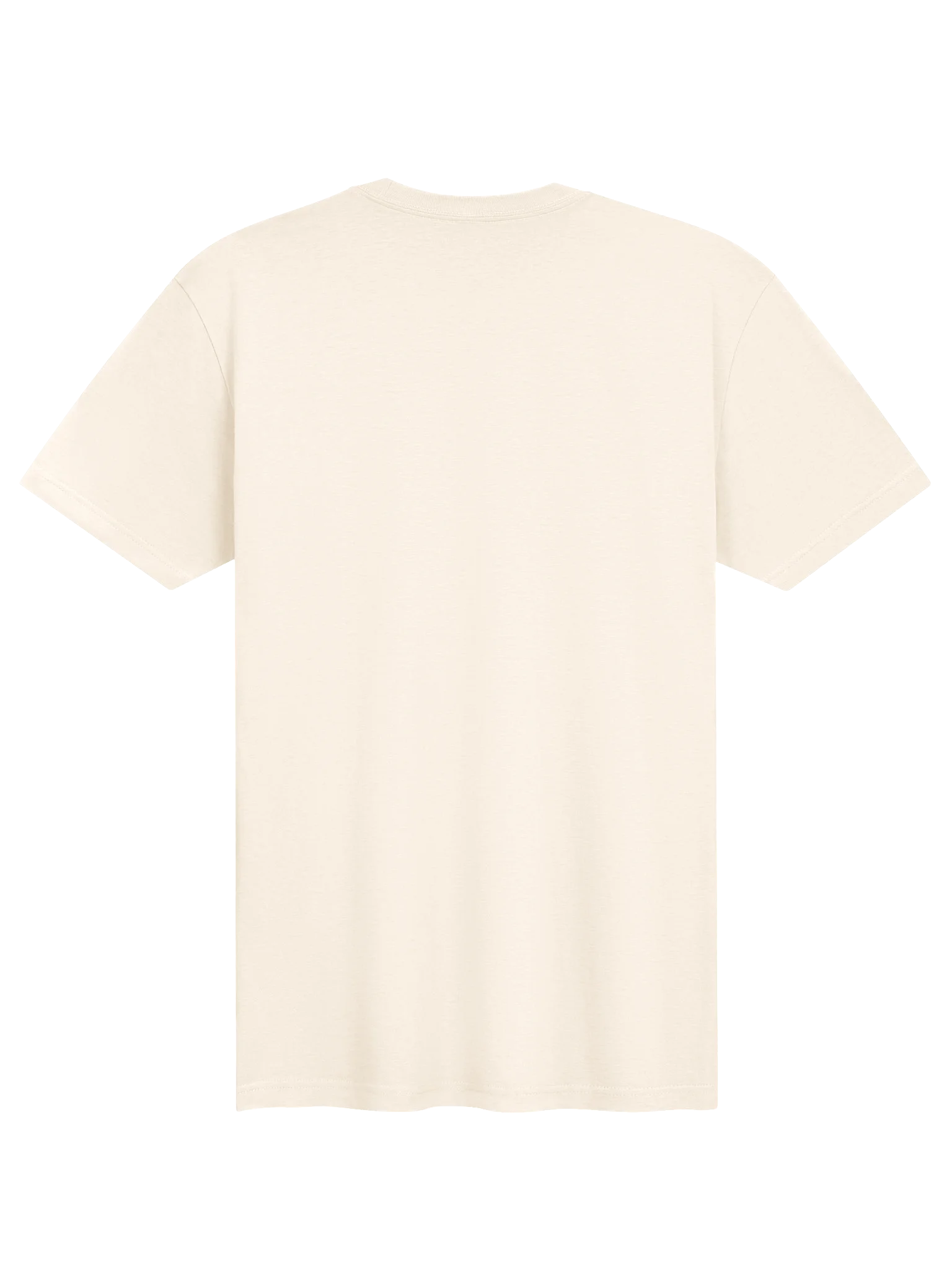 Mosquito Scan, 1993 — Black Print T-Shirt