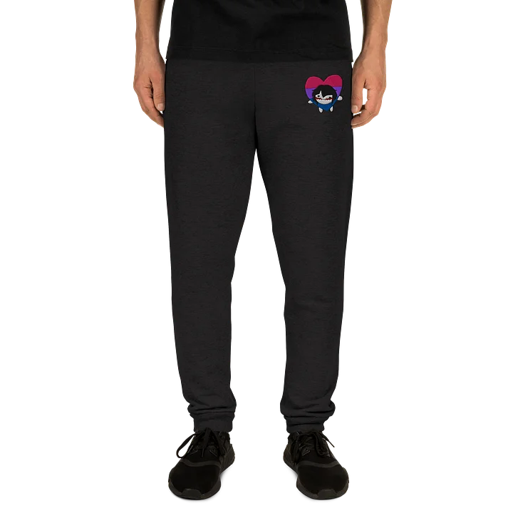 PeoVRC Bi Heart Pride Embroidered Joggers product image (2)