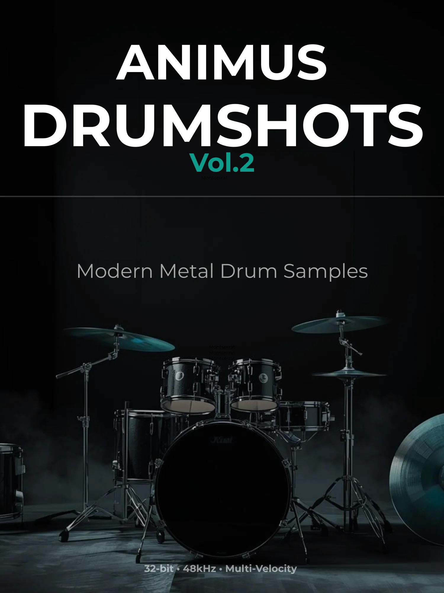 Animus DrumShots Vol 2 product image (1)