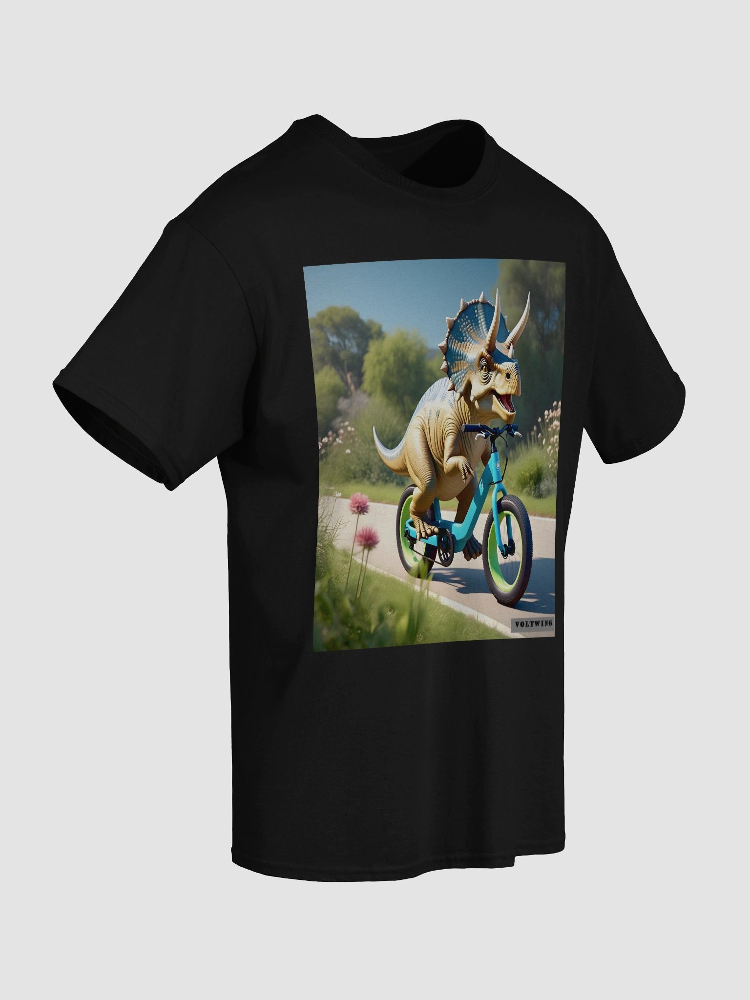 TRI-Ebike product image (4)
