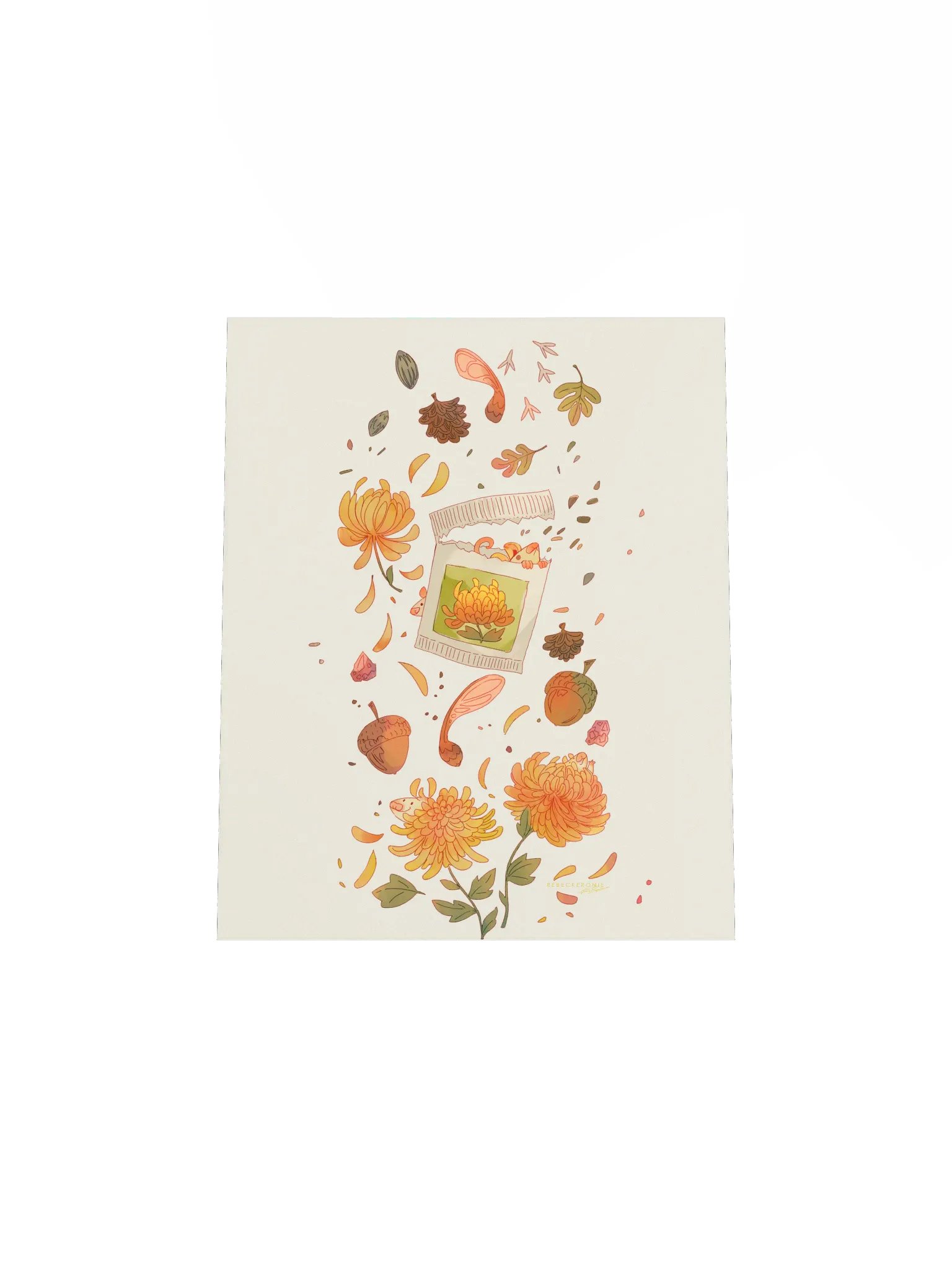 Foraging Possums Print product image (2)