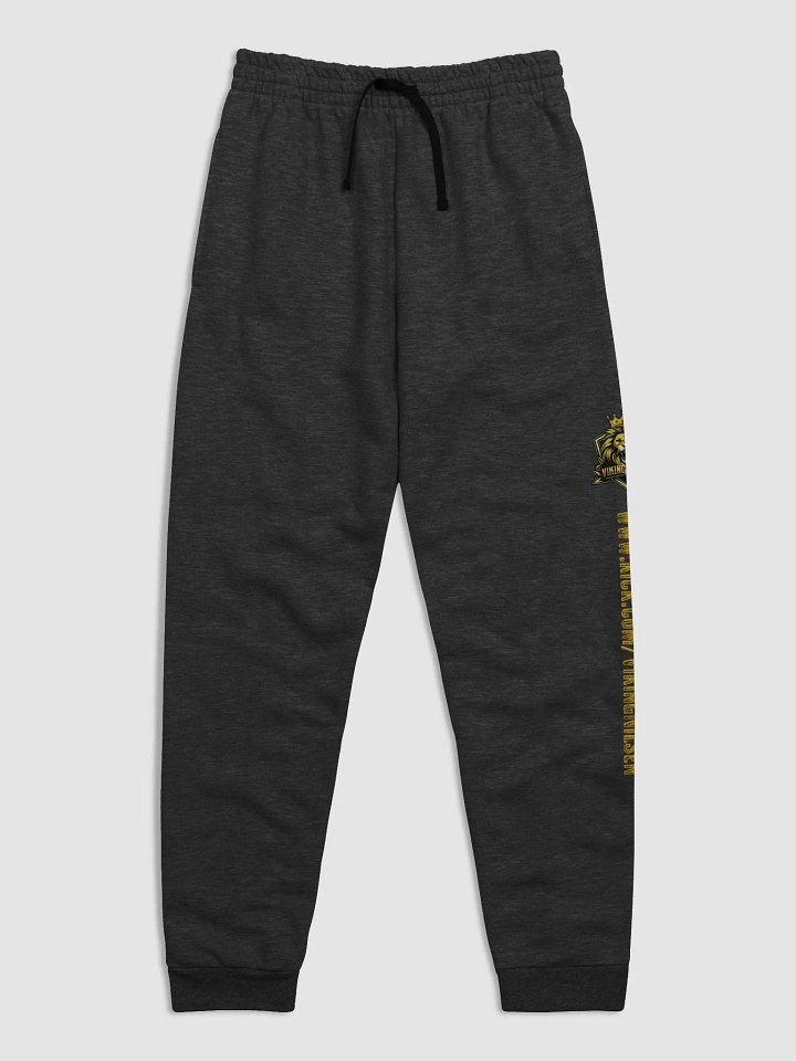 Viking Joggers - Black product image (2)