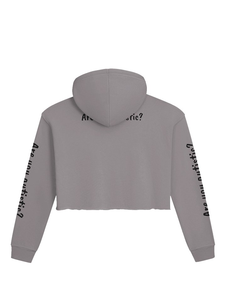 'Are you autistic?' Crop Hoodie product image (4)