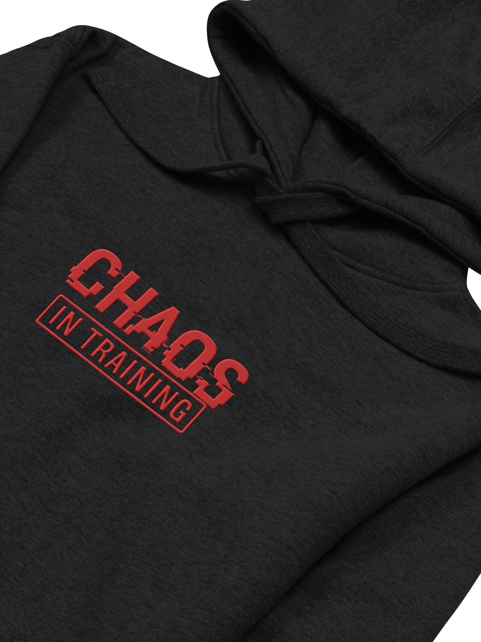 Chaos in Training Hoodie product image (30)