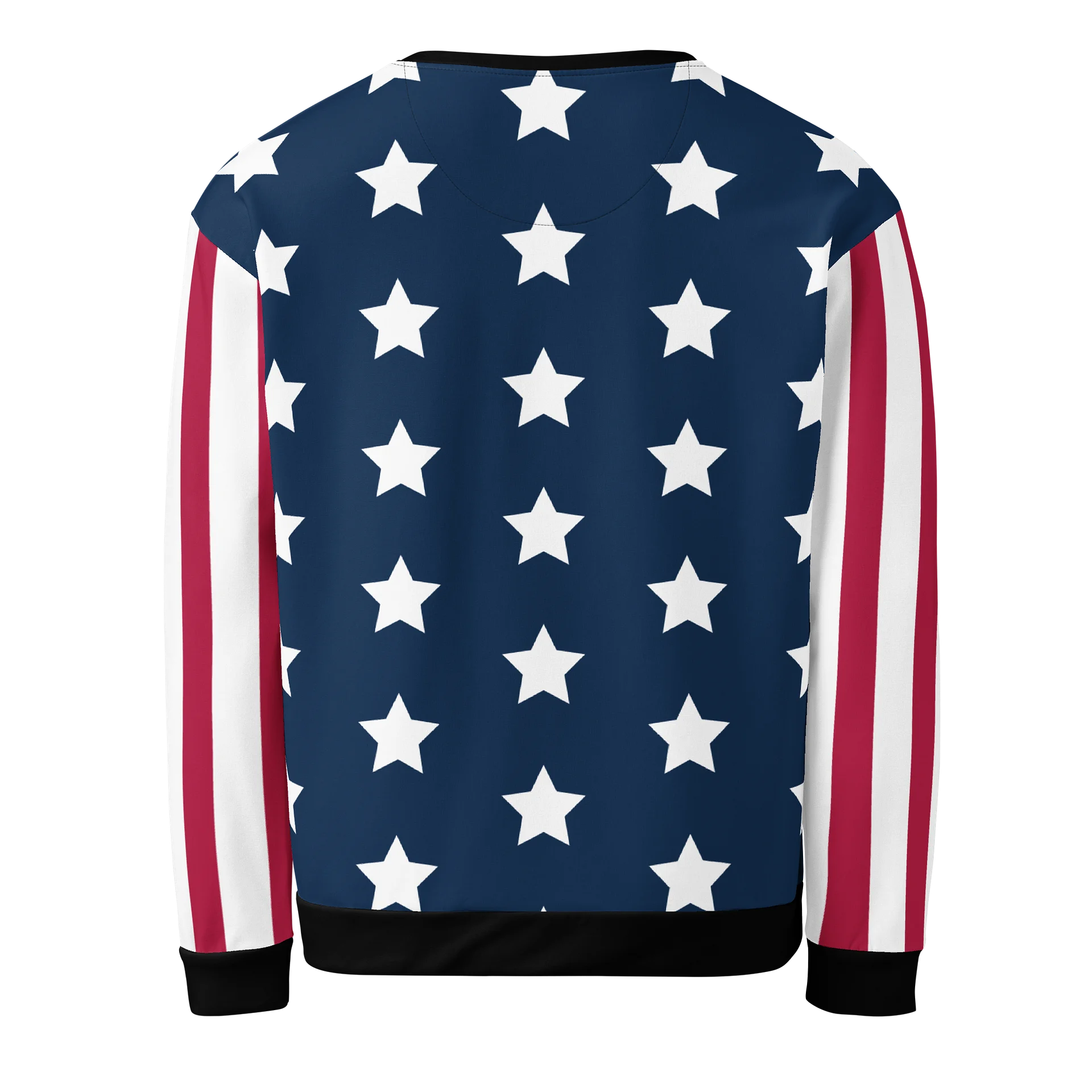 TEAM USA Unisex Sweatshirt product image (2)