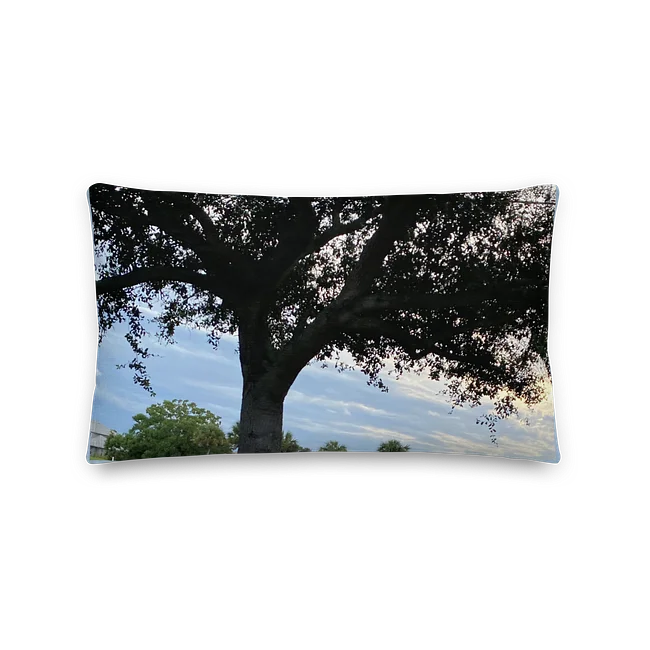 Pillows