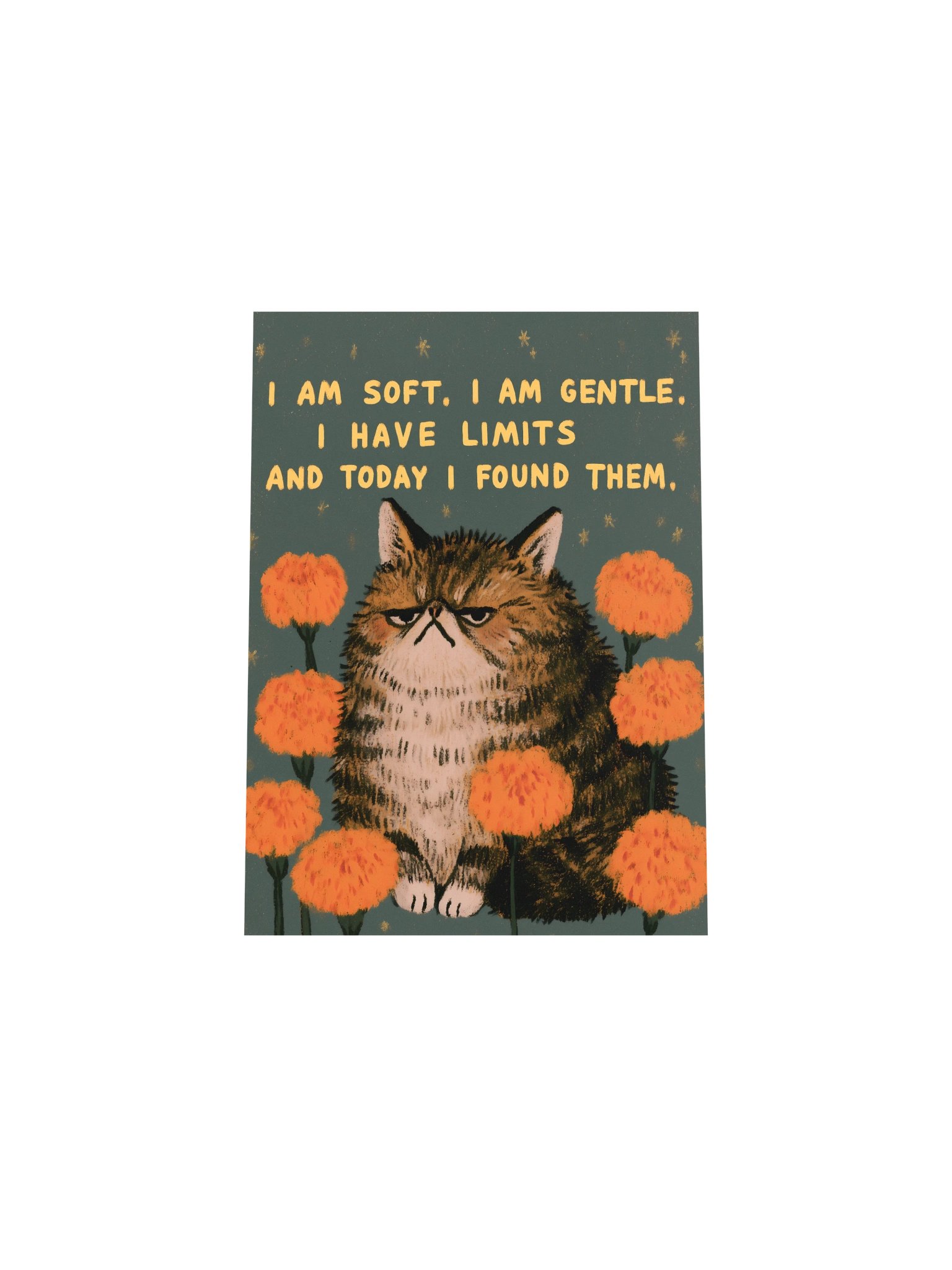 Grumpy Cat Limits Poster product image (23)