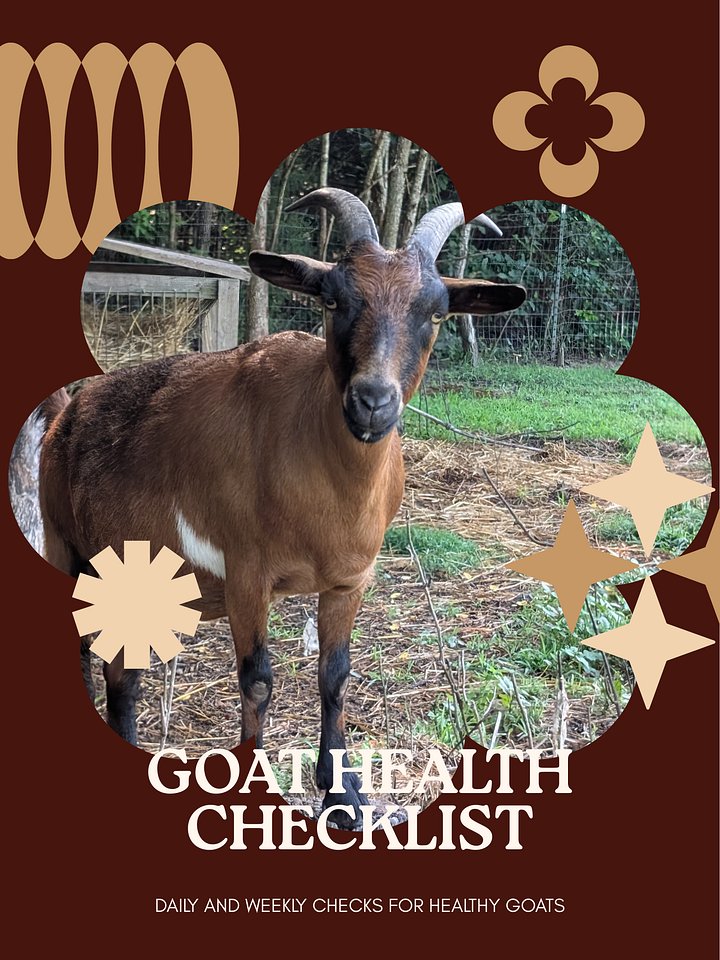 Goat Health Checklist product image (1)