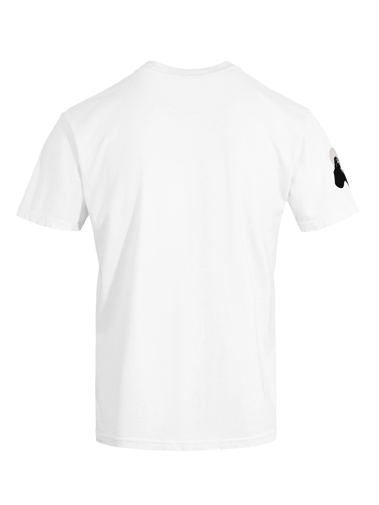Answer Is Jesus T-shirt product image (9)