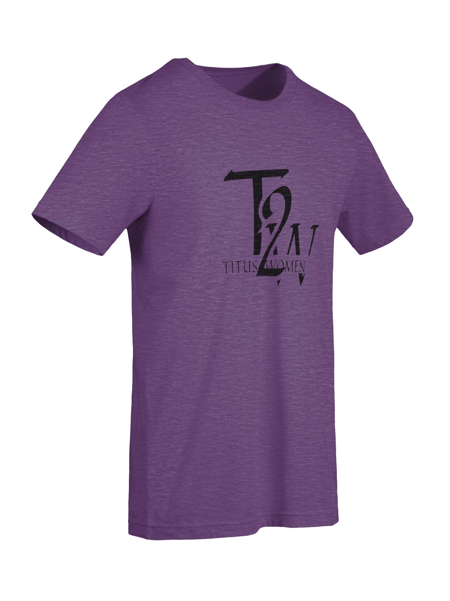 TV2 Monochrome Logo Tee product image (81)
