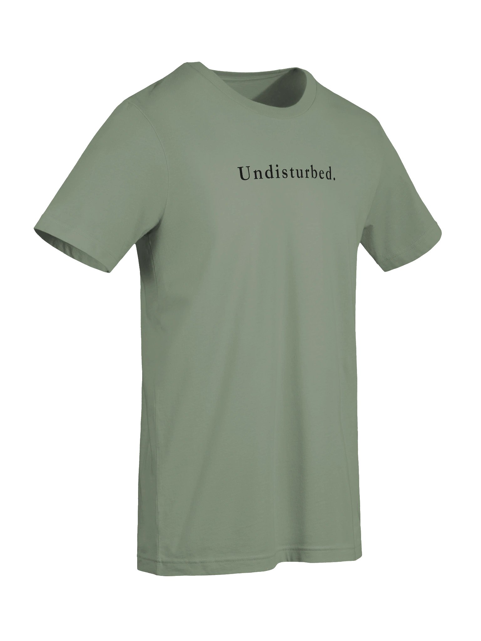 The Undisturbed. Signature Tee product image (80)