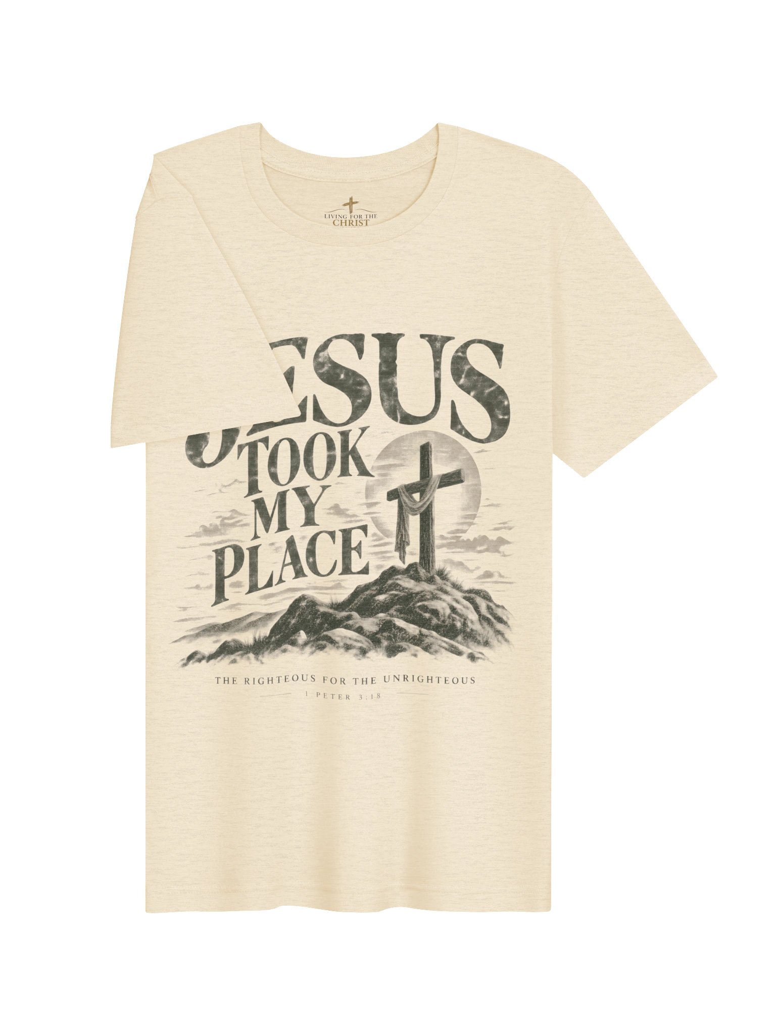 Jesus Took My Place Unisex Premium T-Shirt – 1 Peter 3:18 Christian Tee product image (120)