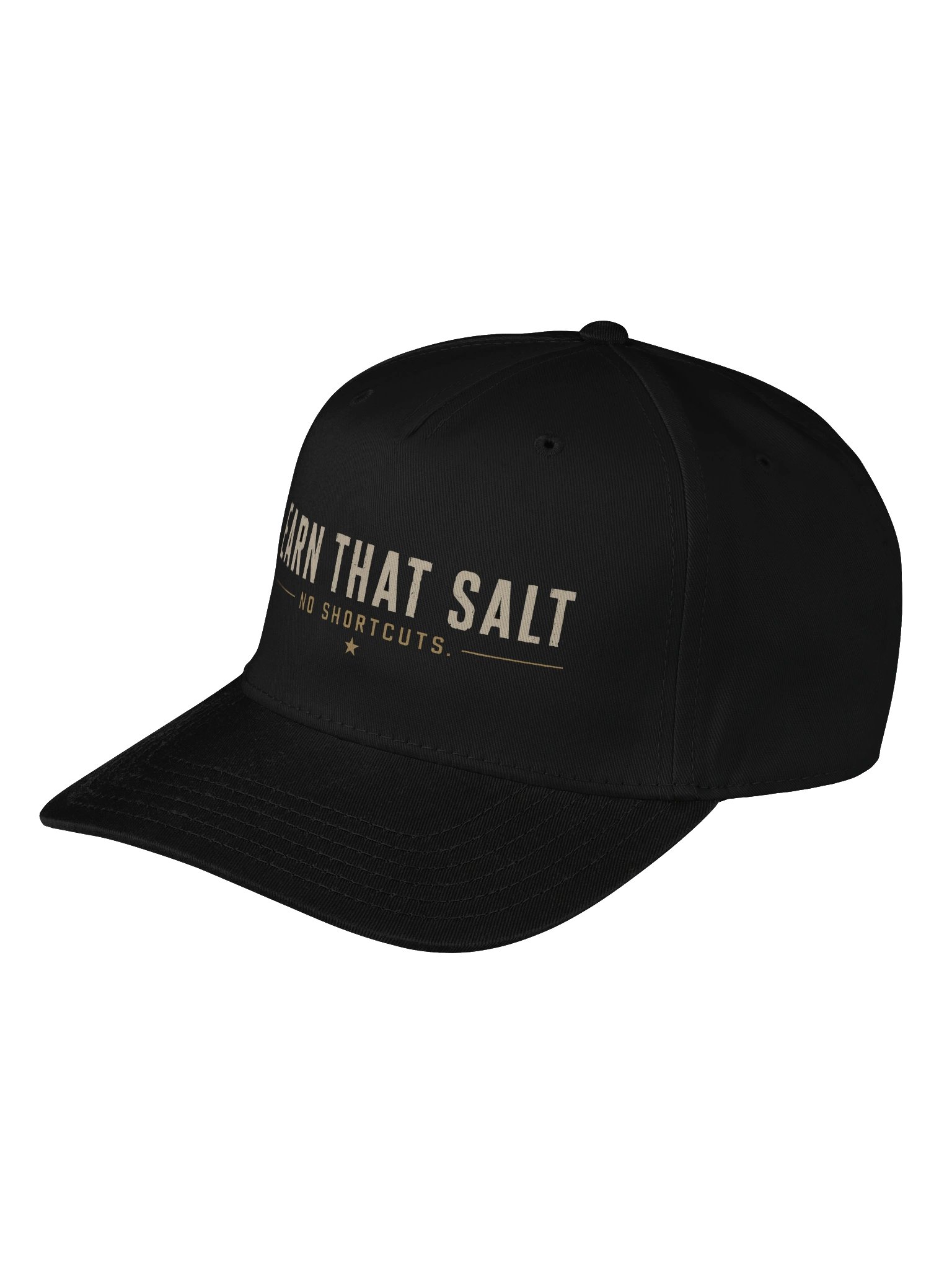 Earn That Salt Snapback Cap product image (3)