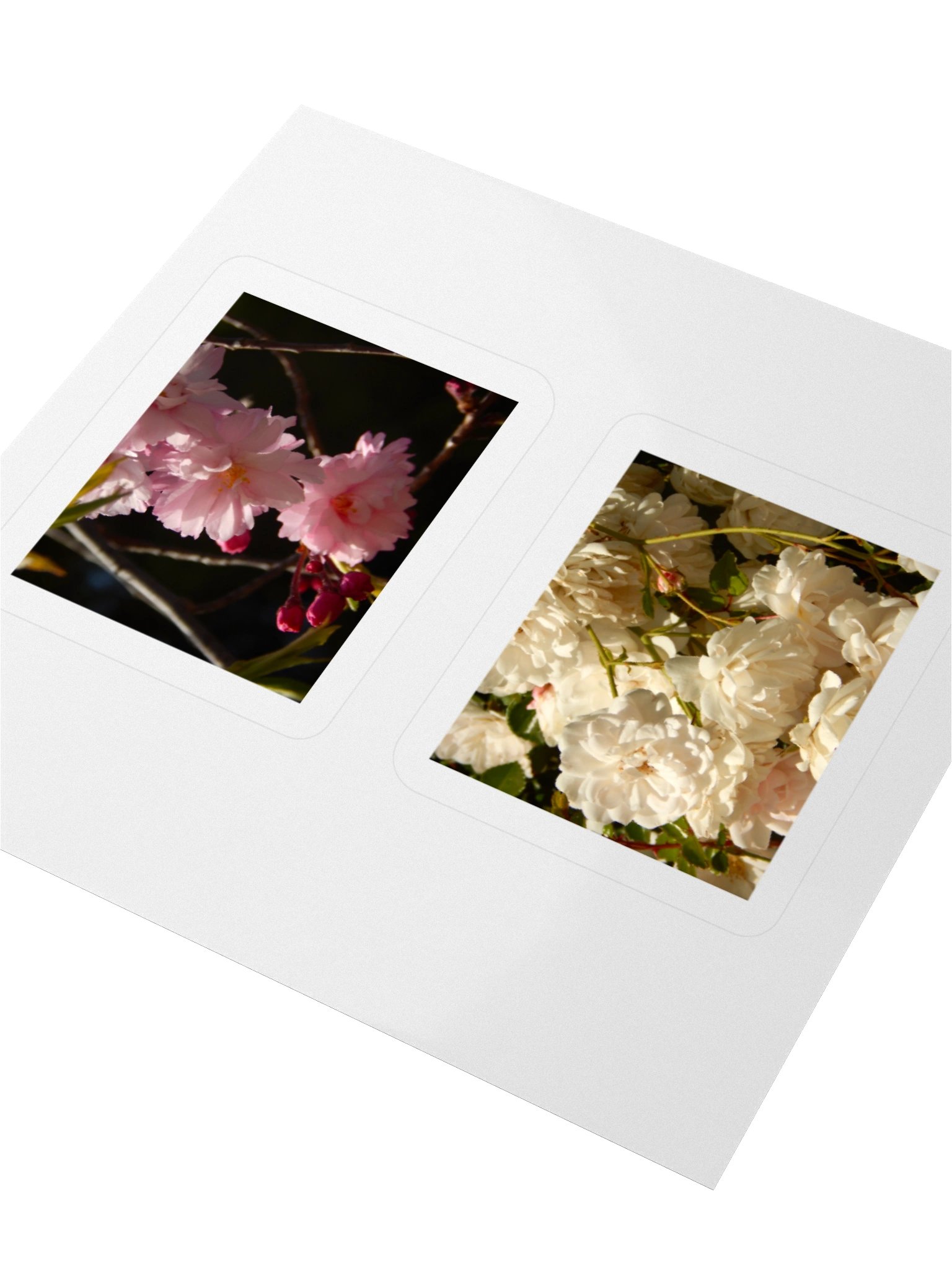 Flowers - Sticker Sheet product image (5)