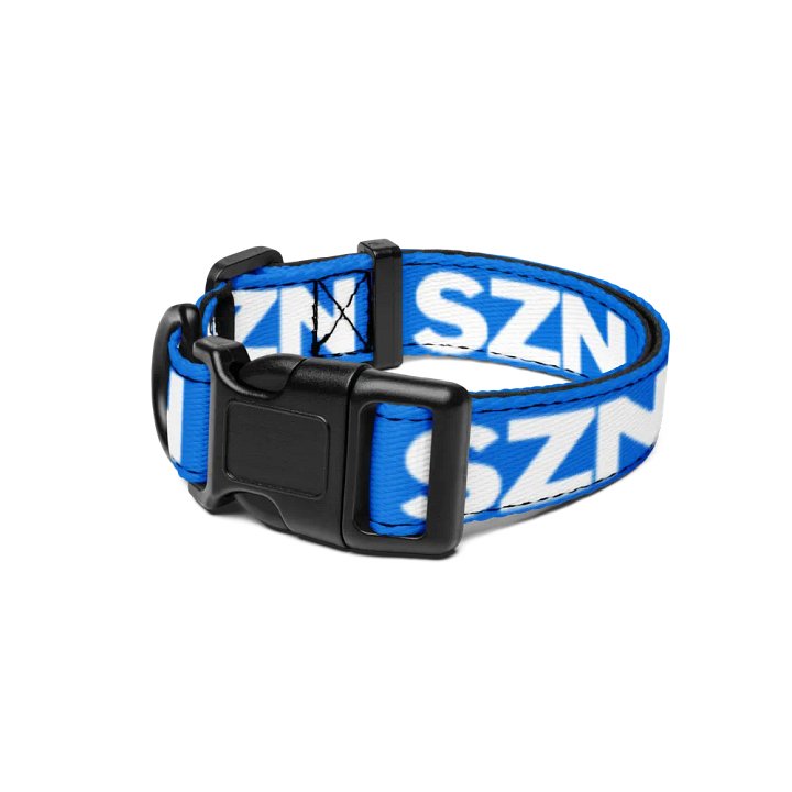 Dog Collar product image (1)