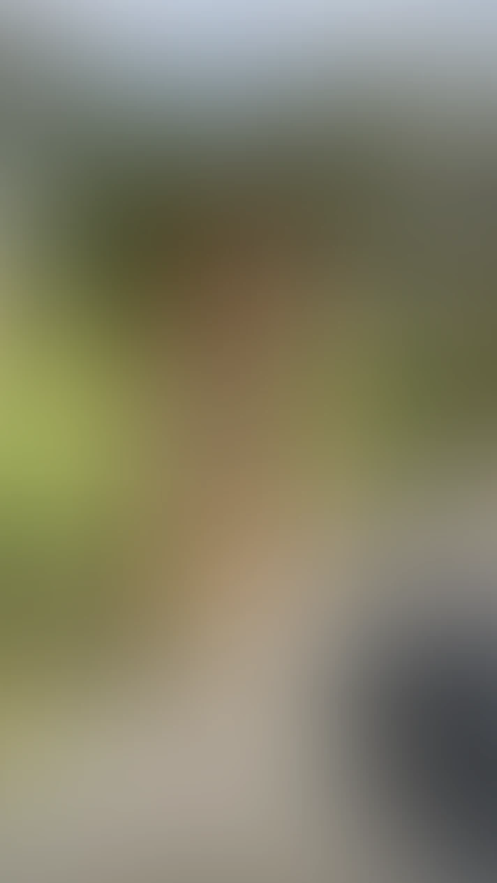 Video thumbnail background