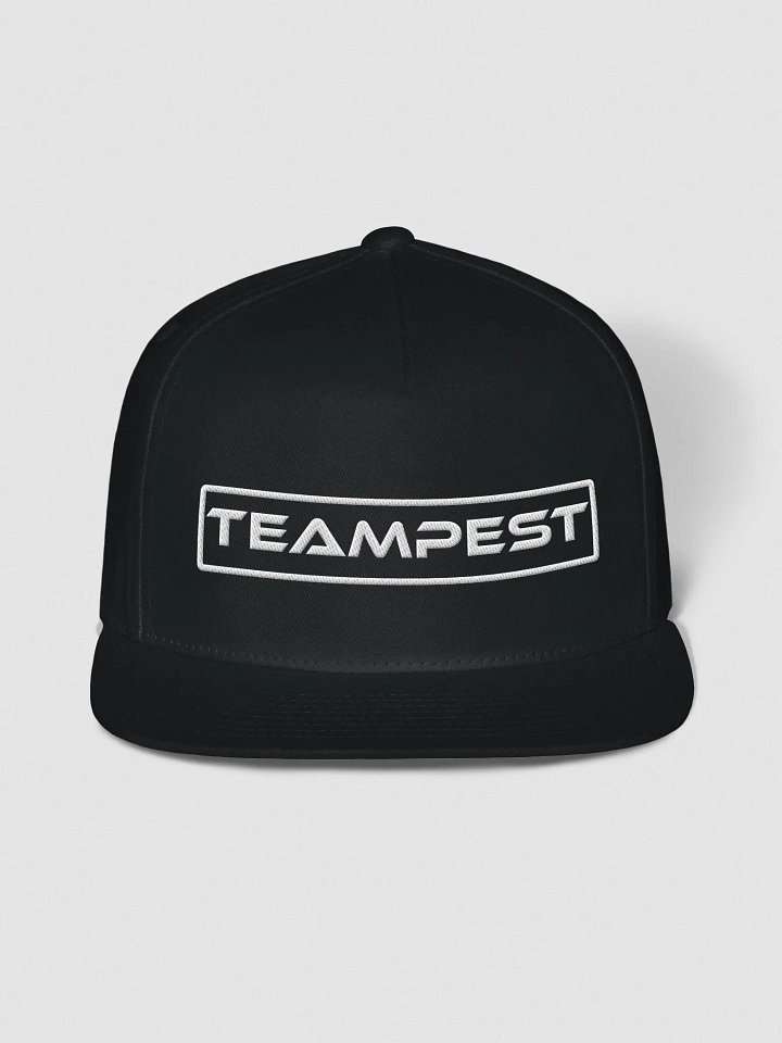 TeamPEST Black Snapback Cap product image (1)