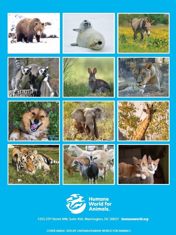 2027 Animal Lover's Planner product image (2)