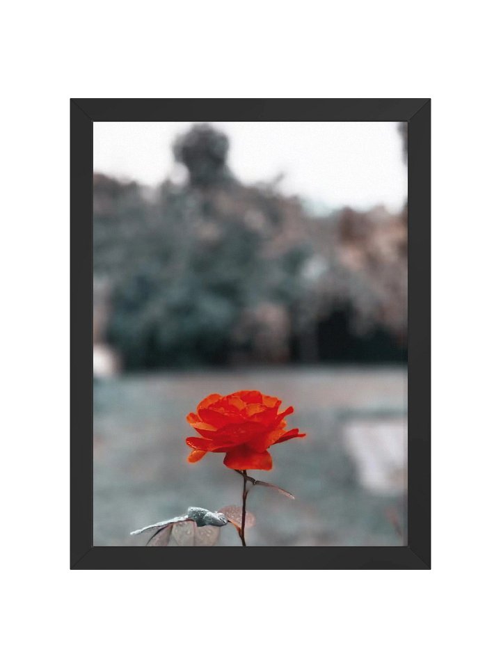 Eternal product image (1)