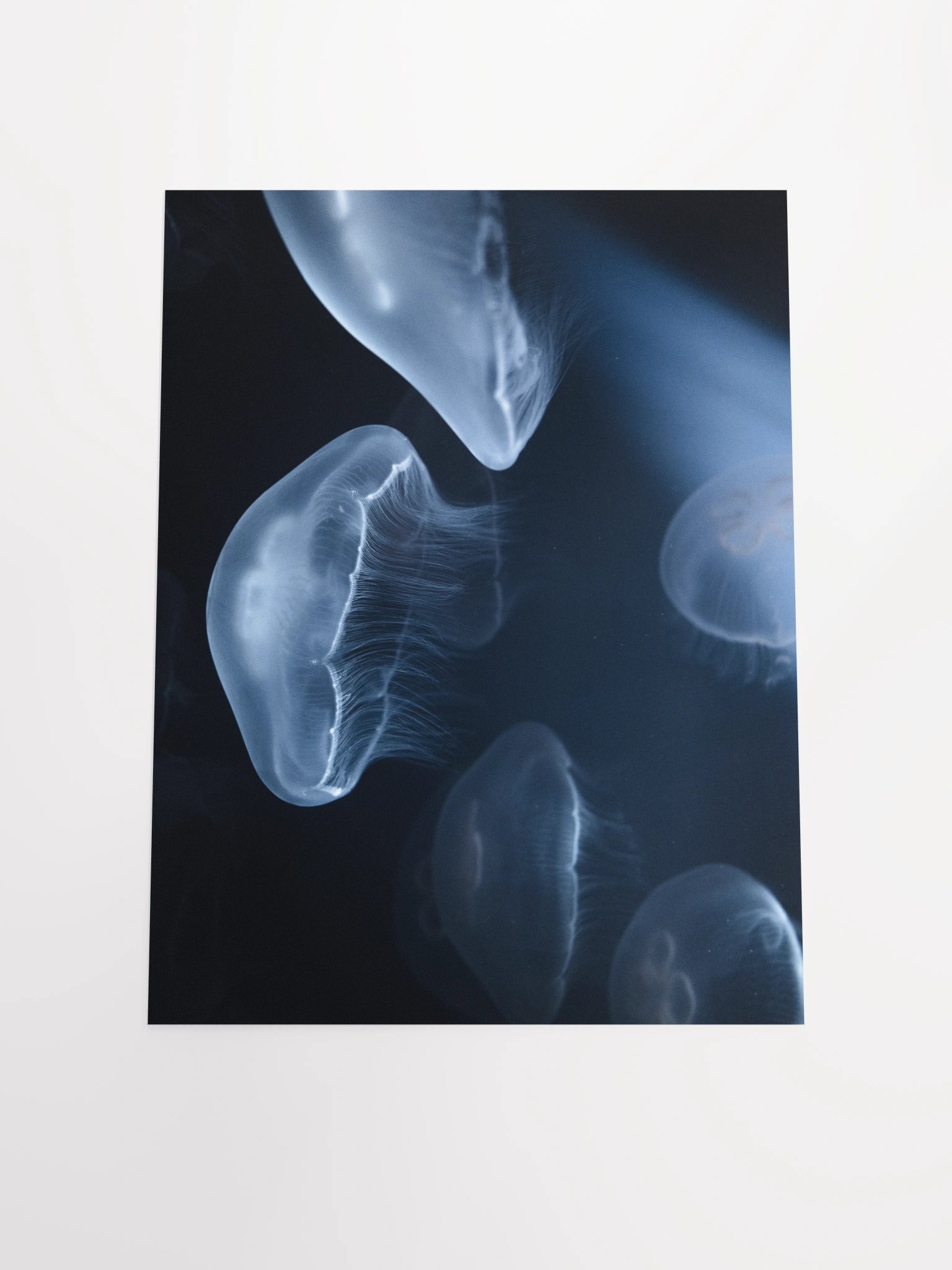 SILENT GLOW - Limited Edition Fine Art Print product image (4)
