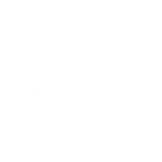 WAVEFRONT NETWORK
